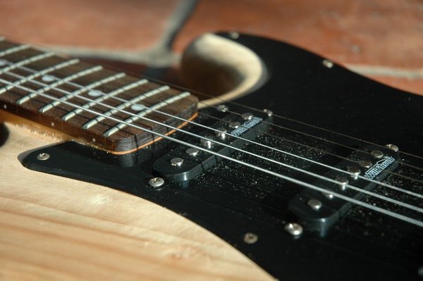 From Atlas Cedar to rocking ear bleeder