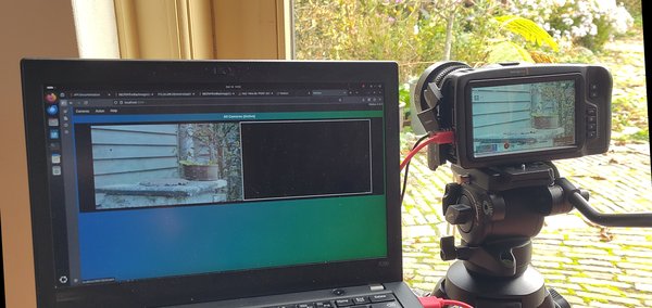 Using a Blackmagic Design camera as wildlife camera